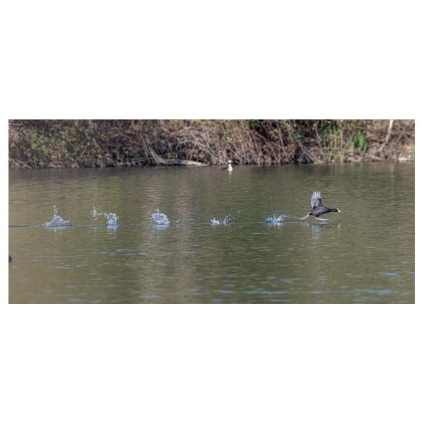 PHOTO84, CLUB, 84 , LUBERON